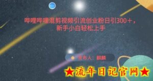 哔哩哔哩混剪视频引流创业粉日引300+,新手小白轻松上手-流年日记