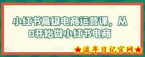 小红书高级电商运营课,从0开始做小红书电商-流年日记
