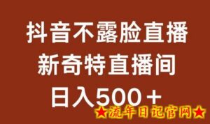 不露脸挂机直播,新奇特直播间,日入500+-流年日记