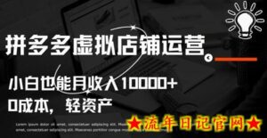 拼多多虚拟店铺运营小白也能月收入10000+-流年日记