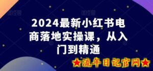 2024最新小红书电商落地实操课，从入门到精通-流年日记