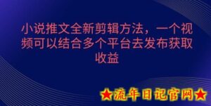 小说推文全新剪辑方法,一个视频可以结合多个平台去发布获取-流年日记