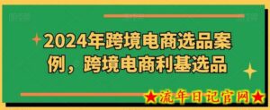 2024年跨境电商选品案例,跨境电商利基选品-流年日记