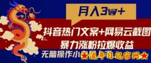 抖音热门文案+网易云截图暴力涨粉拉爆收益玩法,小白无脑操作,简单易上手-流年日记