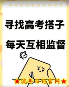 考试搭子+卖考试资料当天引流百来人变现900+项目只有这段时间才能冲-流年日记