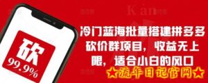冷门蓝海批量搭建拼多多砍价群项目,收益无上限,适合小白的风口-流年日记