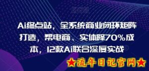 Ai终点站,全系统商业闭环矩阵打造,帮电商、实体降70%成本,12款Ai联合深度实战-流年日记