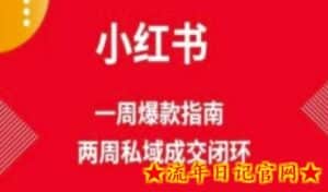 爆款小红书免费流量体系课程(两周变现),小红书电商教程-流年日记