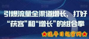 引爆流量全渠道增长，打好“获客”和“增长”的组合拳-流年日记