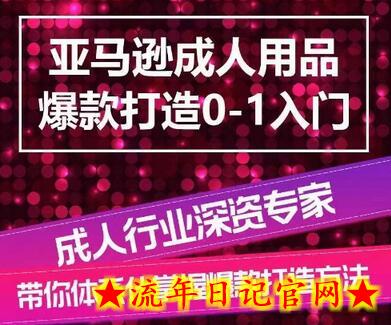 亚马逊成人用品爆款打造0-1入门，系统化讲解亚马逊成人用品爆款打造的流程-流年日记