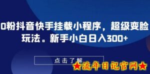 0粉抖音快手挂载小程序,超级变脸玩法,新手小白日入300+-流年日记