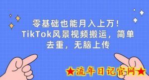 零基础也能月入上w,TikTok风景视频搬运,简单去重,无脑上传-流年日记