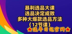 暴利选品大课:选品决定成败,教你多种大爆款选品方法(12节课)-流年日记