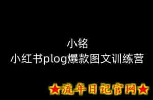 小铭-小红书plog爆款图文训练营,教你从0-1做小红书-流年日记