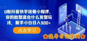 0粉抖音快手挂载小程序,你的脸型适合什么发型玩法,新手小白日入300+-流年日记