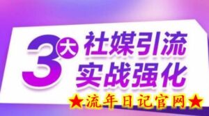 3大社媒引流实战强化，多渠道站外引流，高效精准获客，订单销售额翻倍增长-流年日记