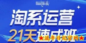 淘系运营21天速成班(更新24年5月)，0基础轻松搞定淘系运营，不做假把式-流年日记