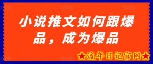 小说推文如何跟爆品,成为爆品-流年日记