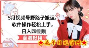 5月视频号野路子搬运,软件操作轻松上手,日入三位数-流年日记