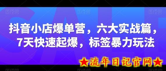 抖音小店爆单营，六大实战篇，7天快速起爆，标签暴力玩法-流年日记