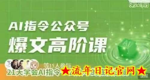 Ai指令公众号高阶课，学会ai指令+公众号的底层逻辑-流年日记