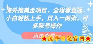 海外赚美金项目,全程看直播,小白轻松上手,日入一两张,可多账号操作-流年日记
