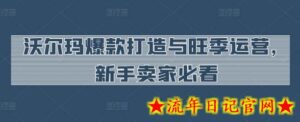 沃尔玛爆款打造与旺季运营，新手卖家必看-流年日记
