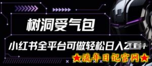 小红书等全平台树洞受气包项目，轻松日入一两张-流年日记