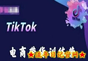 TikTok电商带货训练营,跟随时代潮流,跨境掘金-流年日记