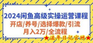 2024闲鱼高级实操运营课程:开店/养号/选择爆款/引流/月入2万/全流程-流年日记