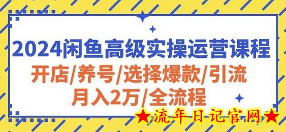 2024闲鱼高级实操运营课程：开店/养号/选择爆款/引流/月入2万/全流程-流年日记