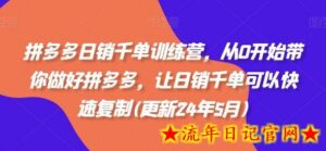 拼多多日销千单训练营,从0开始带你做好拼多多,让日销千单可以快速复制(更新24年5月)-流年日记