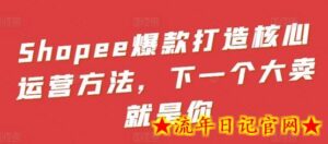 Shopee爆款打造核心运营方法，下一个大卖就是你-流年日记