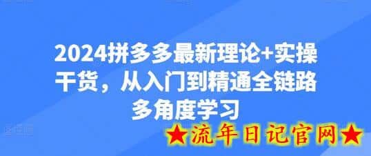 2024拼多多最新理论+实操干货，从入门到精通全链路多角度学习-流年日记