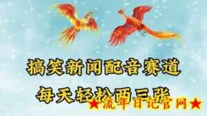 中视频爆火赛道一搞笑新闻配音赛道,每天轻松两三张-流年日记