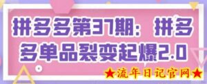 拼多多第37期:拼多多单品裂变起爆2.0-流年日记