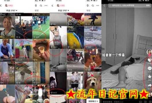 抖音最新双图文卡模板搬运技术，安卓苹果通用，百万千万播放嘎嘎爆插图(1)