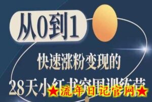 28天小红书突围训练营,从0到1快速涨粉变现-流年日记