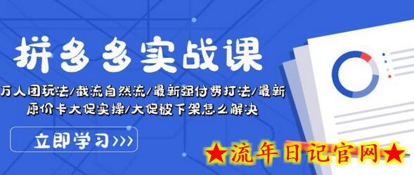 拼多多实战课：万人团玩法/截流自然流/最新强付费打法/最新原价卡大促..-流年日记