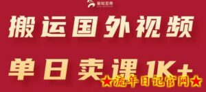 搬运国外视频,引流创业粉,单日卖课1K+-流年日记