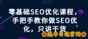 零基础SEO优化课程,手把手教你做SEO优化,只讲干货-流年日记