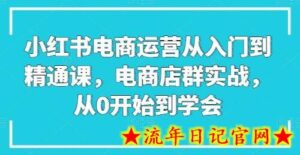 小红书电商运营从入门到精通课,电商店群实战,从0开始到学会-流年日记