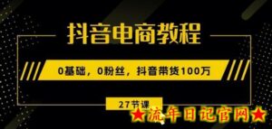 抖音电商教程:0基础,0粉丝,抖音带货100w(27节视频课)-流年日记