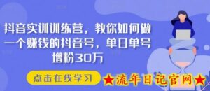 抖音实训训练营,教你如何做一个赚钱的抖音号,单日单号增粉30万-流年日记
