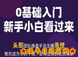 2024年新媒体流量变现运营笔记，教你成为引的了流，卖得出货的优质商家-流年日记