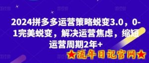 2024拼多多运营策略蜕变3.0,0-1完美蜕变,解决运营焦虑,缩短运营周期2年+-流年日记