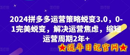 2024拼多多运营策略蜕变3.0，0-1完美蜕变，解决运营焦虑，缩短运营周期2年+-流年日记