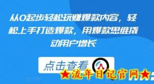 从0起步轻松玩赚爆款内容,轻松上手打造爆款,用爆款思维撬动用户增长-流年日记