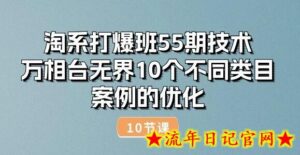 淘系打爆班55期技术:万相台无界10个不同类目案例的优化(10节)-流年日记