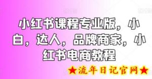 小红书课程专业版，小白，达人，品牌商家，小红书电商教程-流年日记